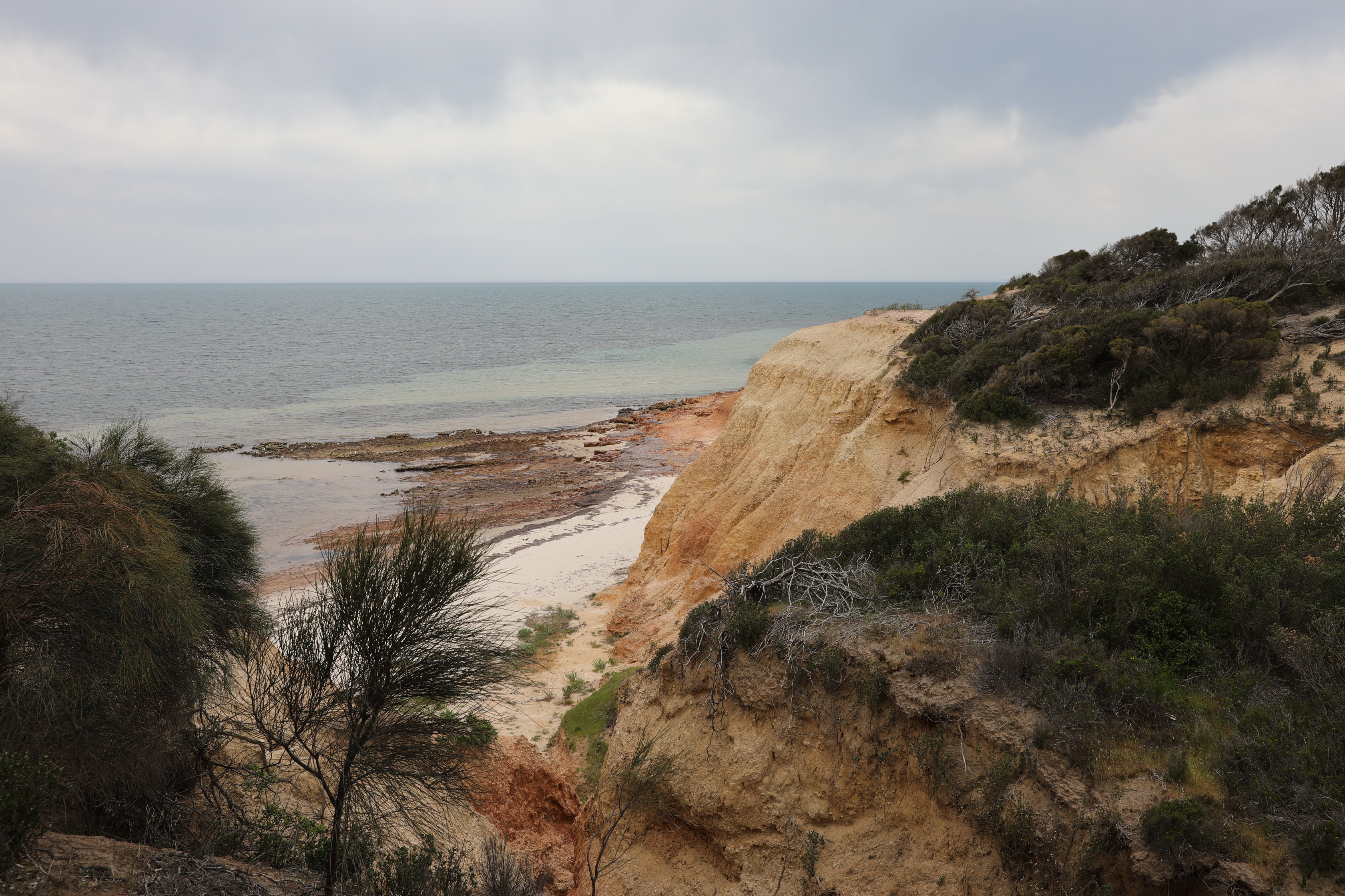 2019 10 05 14 21 17 Canon EOS 5D Mark IV 0003